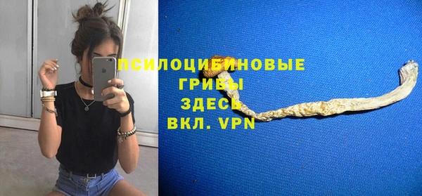 шишки Сафоново