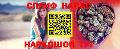 jwh Гусев