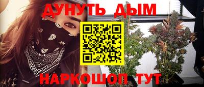 шишки Гусиноозёрск