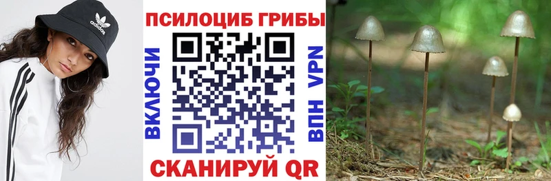 цена наркотик  Ливны  Псилоцибиновые грибы мицелий 