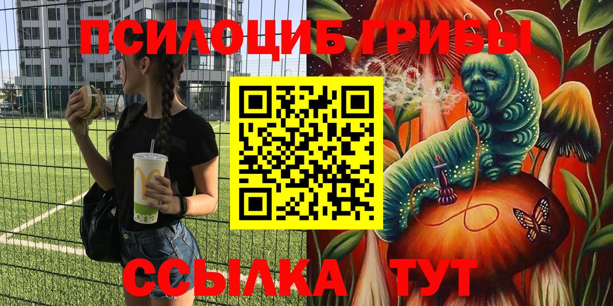 Галлюциногенные грибы Psilocybine cubensis Ливны