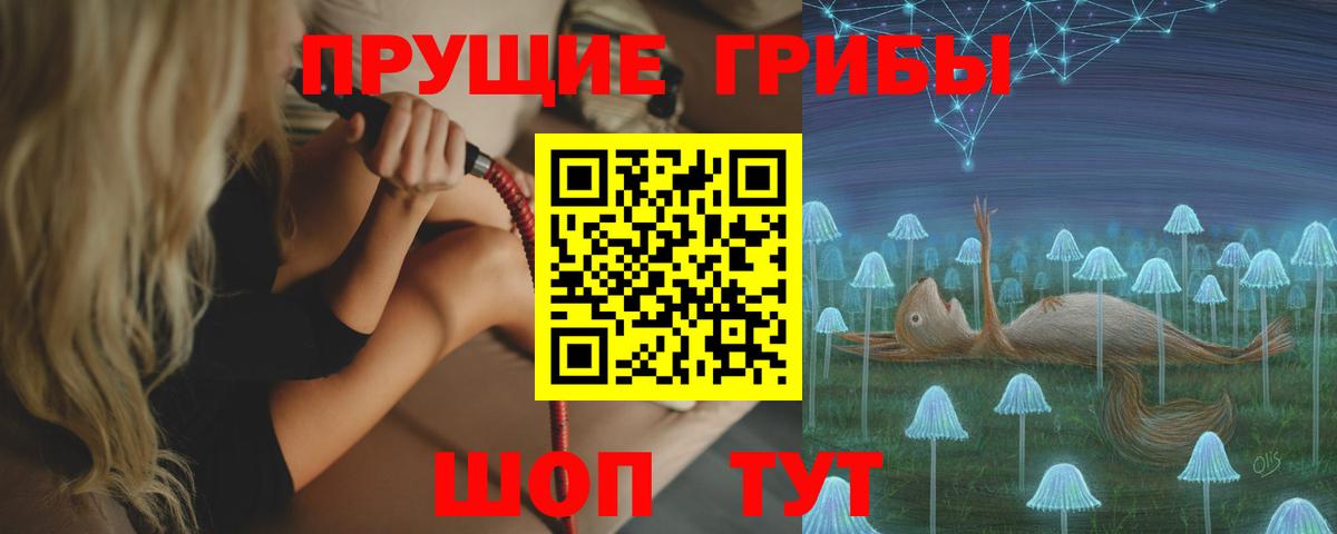 Галлюциногенные грибы GOLDEN TEACHER  Псилоцибиновые грибы мухоморы  Вход с VPN  Ливны 